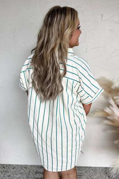 Coastal Stripes Dress