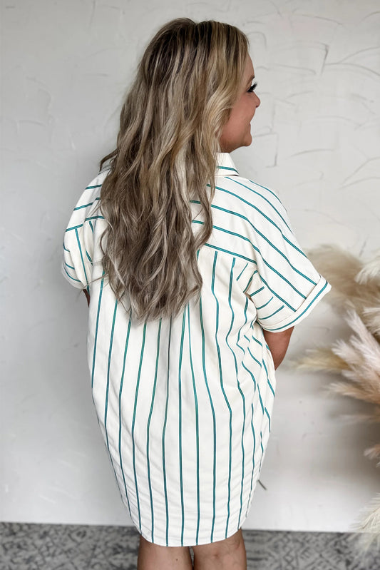 Coastal Stripes Dress