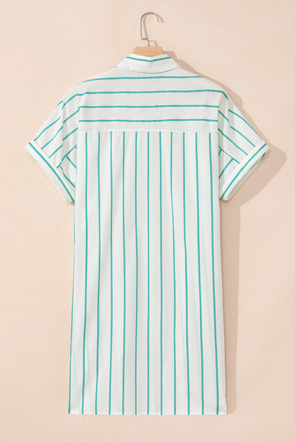 Coastal Stripes Dress